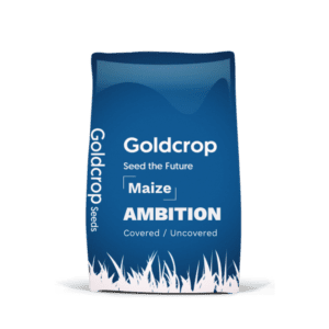 maize seeds, goldcrop, ambition maize, recommended list