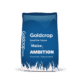 maize seeds, goldcrop, ambition maize, recommended list