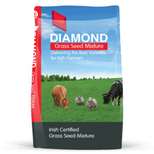 diamond grass mix, grass seed mix, grass, bag full of grass seed