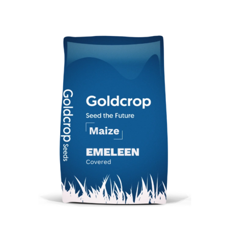maize seeds, goldcrop, ambition maize, recommended list