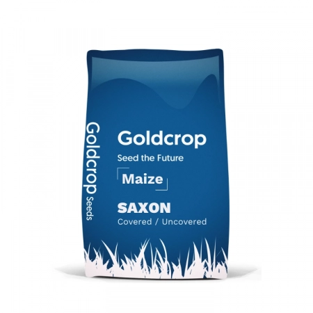 maize seeds, goldcrop, ambition maize, recommended list