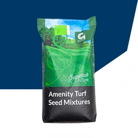 golf turf seed mix