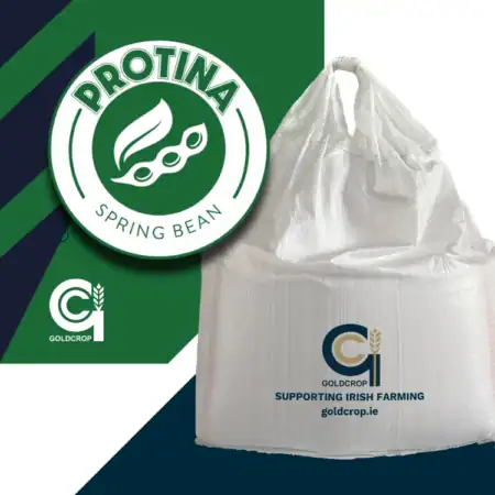 PROTINA SPRING BEAN