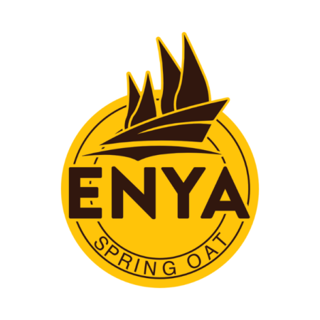 WPB Enya spring oats