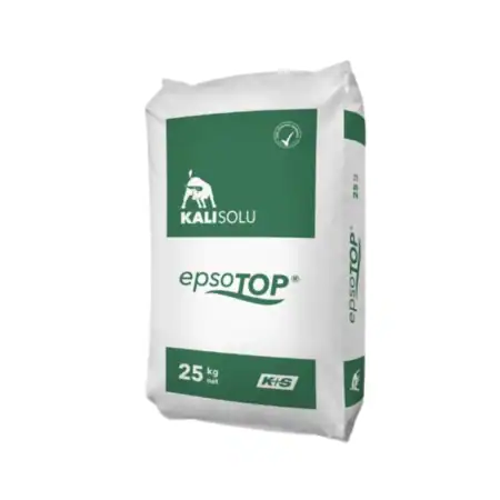 EPSO Top