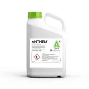 anthem herbicide