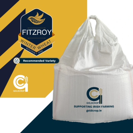 FITZROY Goldcrop