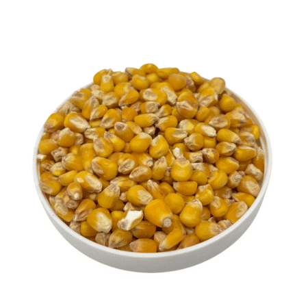 Black Rape Seed 25Kg