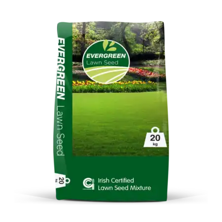 Goldcrop Evergreen Lawn Seed