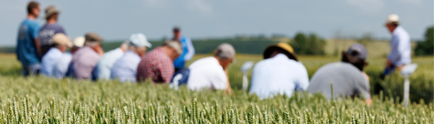 Goldcrop Arable Crops Open Days 2026 1