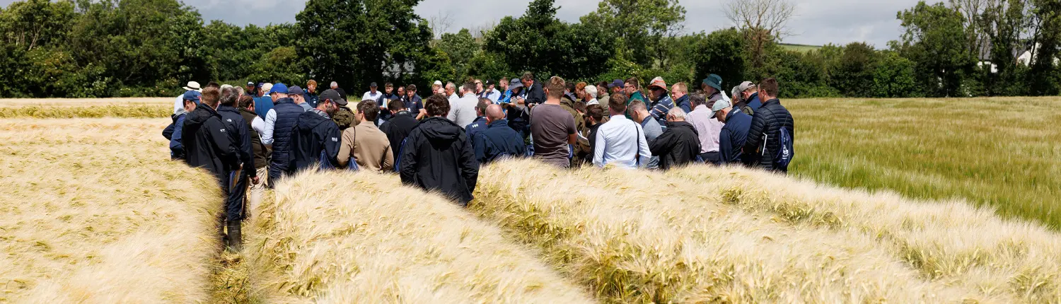 Goldcrop Arable Crops Open Days 2026 3