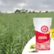 LG Armada